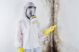 Best Attic Mold Removal  in Miamisburg, OH